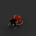 Red Ladybug With Black Spots And Shiny Exoskeleton On Dark Background