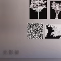 tree shadow board 3d model