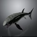 3D Model Of Prehistoric Fish With Open Mouth Textured Body Fins And Tail