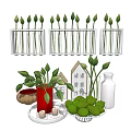 Decorative Ornamental Set With Test Tube Plants Red Pot House Model White Vase Green Decor