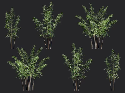 Different Bamboo Plants With Green Leaves And Stems 3d model