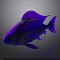 Shiny Purple And Blue Fish With Glossy Scales On Gray Background And Reflection