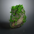 Natural Stone And Wood Decorative Item With Green Vines For Garden Decoration