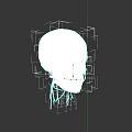 Human Skull Anatomical Model With Detailed Bone Structure And 3D Rendering