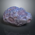 Natural Wood Stone with Unique Holes and Intricate Purple Surface Texture Design