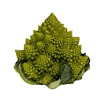 pagoda cauliflower cauliflower buddha head vegetable pagoda flower vegetables fruit food vegetables roman cauliflower 3d model