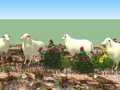 Modern sheep flock model