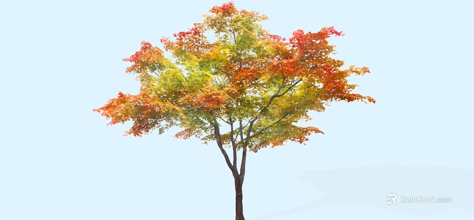 Autumn Arbor With Colorful Red Yellow Green Leaves In Natural Setting 3d model 