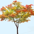 Autumn Arbor With Colorful Red Yellow Green Leaves In Natural Setting