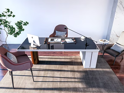 Modern Work Desk With Laptop Lamp Documents Two Chairs Potted Plant Rug Wooden Floor 3d model