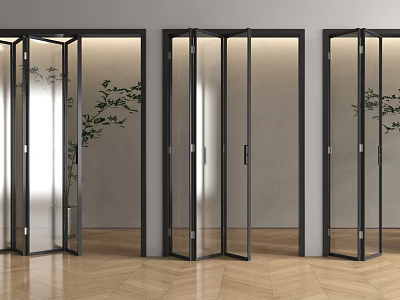 Modern Glass Folding Doors with Black Frames in Interior Space and Green Plants 3d model