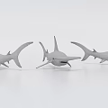 Realistic Black And White Shark 3D Model With Detailed Sharp Teeth And Dorsal Fin
