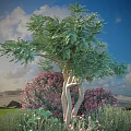 Pink Flowering Shrub In Coastal Landscape With Green Tree And Blue Sky