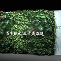Leading Digital Industry Stage With Green Plants Blue Backdrops Empowering Electrical Society