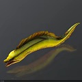 Yellow Fish With Orange Fins Open Mouth Sharp Teeth On Dark Background With Reflection