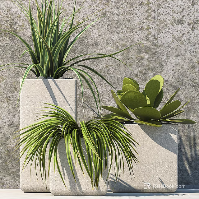 Green Potted Plants With Various Leaf Shapes In White Planters For Modern Interior Decor 3d model 