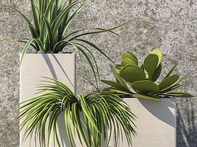 Green Potted Plants With Various Leaf Shapes In White Planters For Modern Interior Decor 3d model
