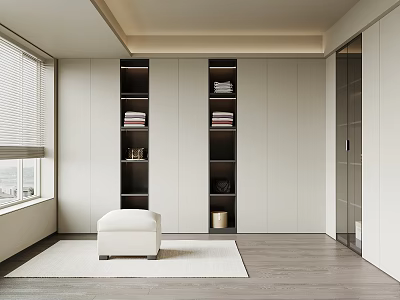 Modern Walk In Closet Interior Design With White Shelves Stool Rug And Window Blinds 3d model
