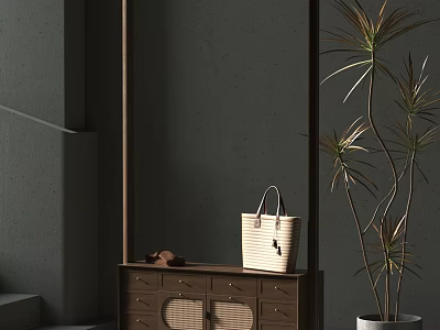 Hanger with Woven Handbag and Brown Shoes on Wood Cabinet Near Green Plant Gray Wall 3d model