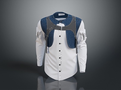 Shirt Men's Shirt Men's Shirt Women's Shirt Women's Shirt Clothes 3d model