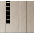Modern Light Wooden Wardrobe With Sleek Panel Doors And Black Accent Details