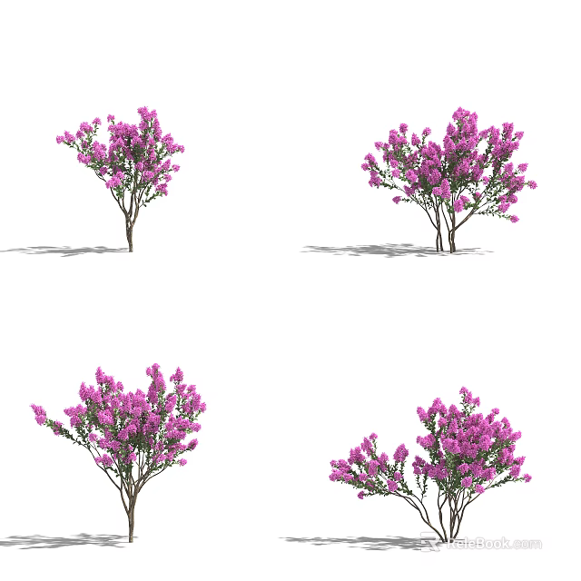 Vibrant Purple Flowering Shrubs With Lush Blooms And Green Foliage 3d model 