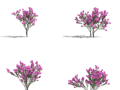 Vibrant Purple Flowering Shrubs With Lush Blooms And Green Foliage 3d model