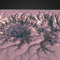 Detailed View Of Rugged Planetary Surface With Mountainous Terrain And Deep Canyons