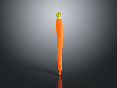 Fresh Whole Orange Carrot With Green Top Isolated On Dark Background 3d model