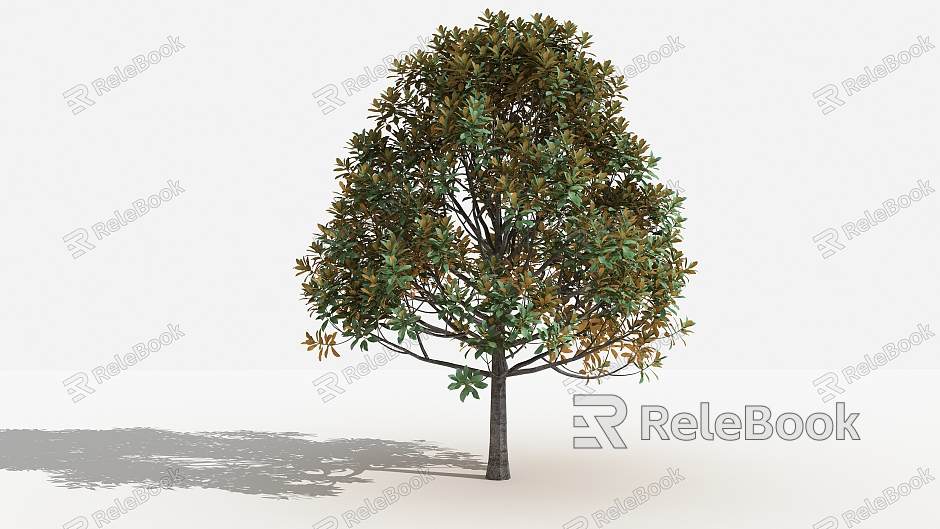 modern tree magnolia model