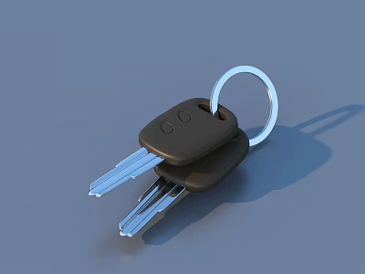 Practical Daily Use House Keys With Black Handles And Silver Keychain 3d model