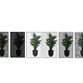 Decorative Room Dividers With Various Patterns And Green Plants For Modern Home Interior Design