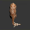 Standing Giraffe Model With Brown White Spots Long Neck And Reflective Surface 3d model