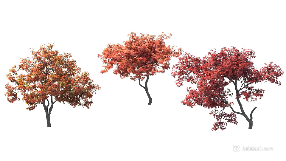 Autumn Colored Tree Combination with Red Orange Foliage and Diverse Canopy Structures 3d model