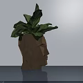 Lush Green Bonsai Potted Plant In Human Head Shaped Geometric Polyhedron Pot On Smooth Tabletop