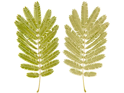 Natural Green Leaves Wall Decor With Fresh Design For Home Interior 3d model