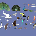Various Flying Animals Including Peacocks Swans Flamingos Eagles Parrots Toucans Seagulls And Penguins