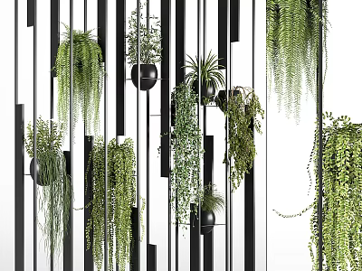 Vertical Garden With Hanging Plants And Modern Decor 3d model