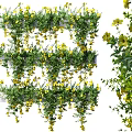 Lush Bonsai Potted Plant With Vibrant Yellow Flowers And Green Vines Against Black Background