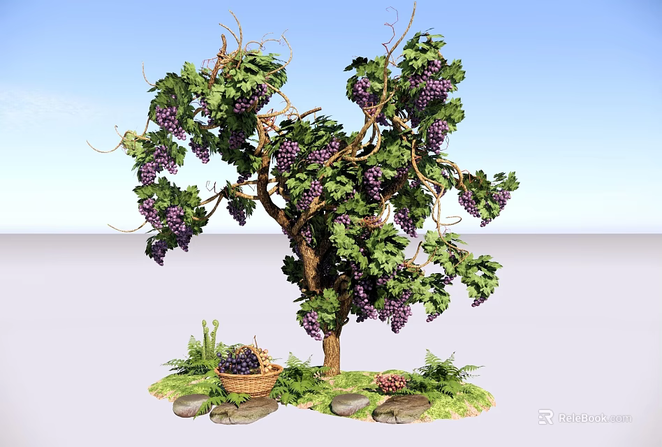Grape Bush with Purple Grapes Green Vines Leaves Basket Underneath Stones and Grass 3d model 