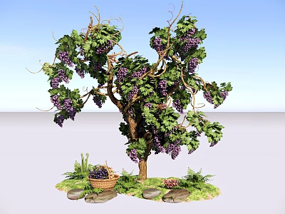 Grape Bush with Purple Grapes Green Vines Leaves Basket Underneath Stones and Grass 3d model