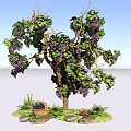Grape Bush with Purple Grapes Green Vines Leaves Basket Underneath Stones and Grass