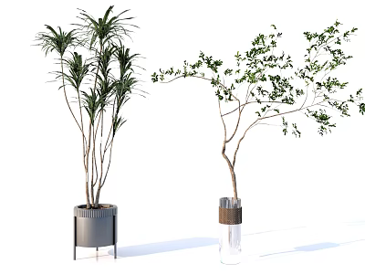 Modern Bonsai Potted Plants with Grey Metal Stand Pot and Glass Vase Wrapped Hemp Rope 3d model