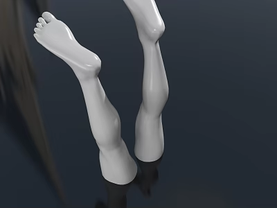 Detailed Human Legs and Feet Anatomical 3D Model with Smooth Surface and Realistic Texture 3d model