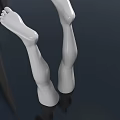 Detailed Human Legs and Feet Anatomical 3D Model with Smooth Surface and Realistic Texture