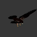 Game Movie Character Eagle with Spreading Black Wings Yellow Beak and Talons Standing Pose