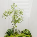 Garden Ornaments With Small Tree Green Plants Decorative Stone And Fresh Foliage