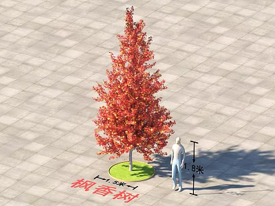 8 Meters Tall Liquidambar Tree With Red Leaves On Circular Green Lawn And Paved Ground 3d model
