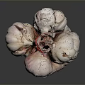 Fresh Garlic Bulbs Tied With Red String And Wooden Stem For Cooking