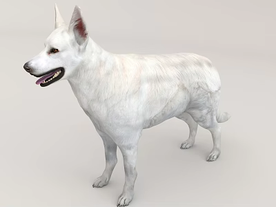 White Reptile Lizard With Smooth Skin Standing On Gray Background 3d model